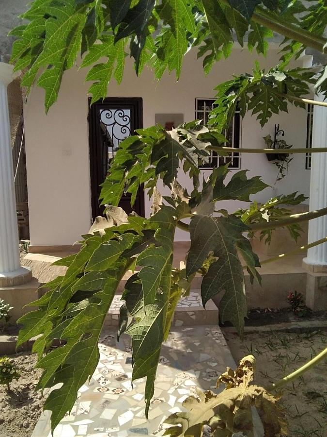 Unique Owl Apartments Sanyang Екстер'єр фото